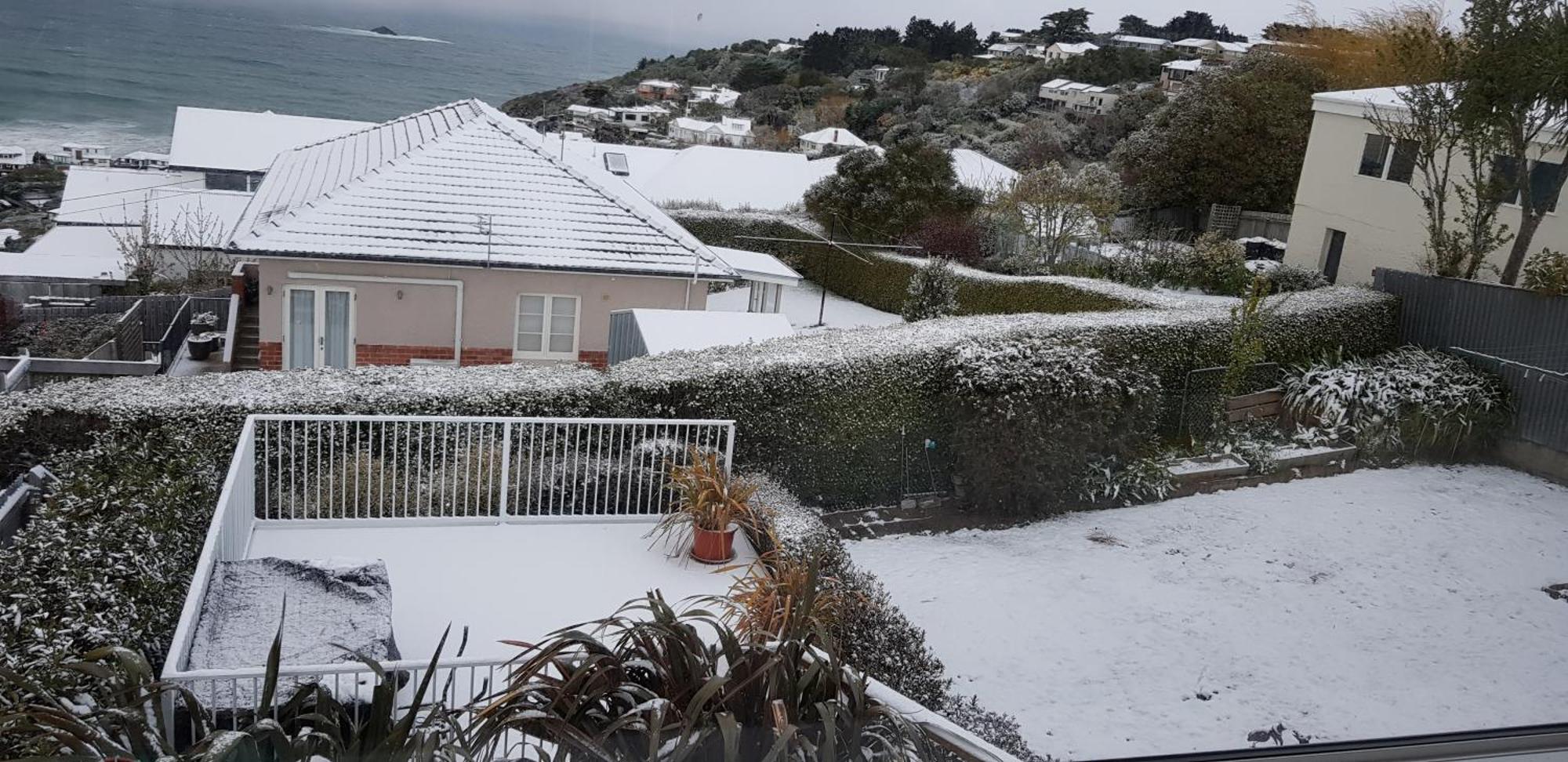 Rosemount B&B By The Sea St Clair Dunedin Exterior foto
