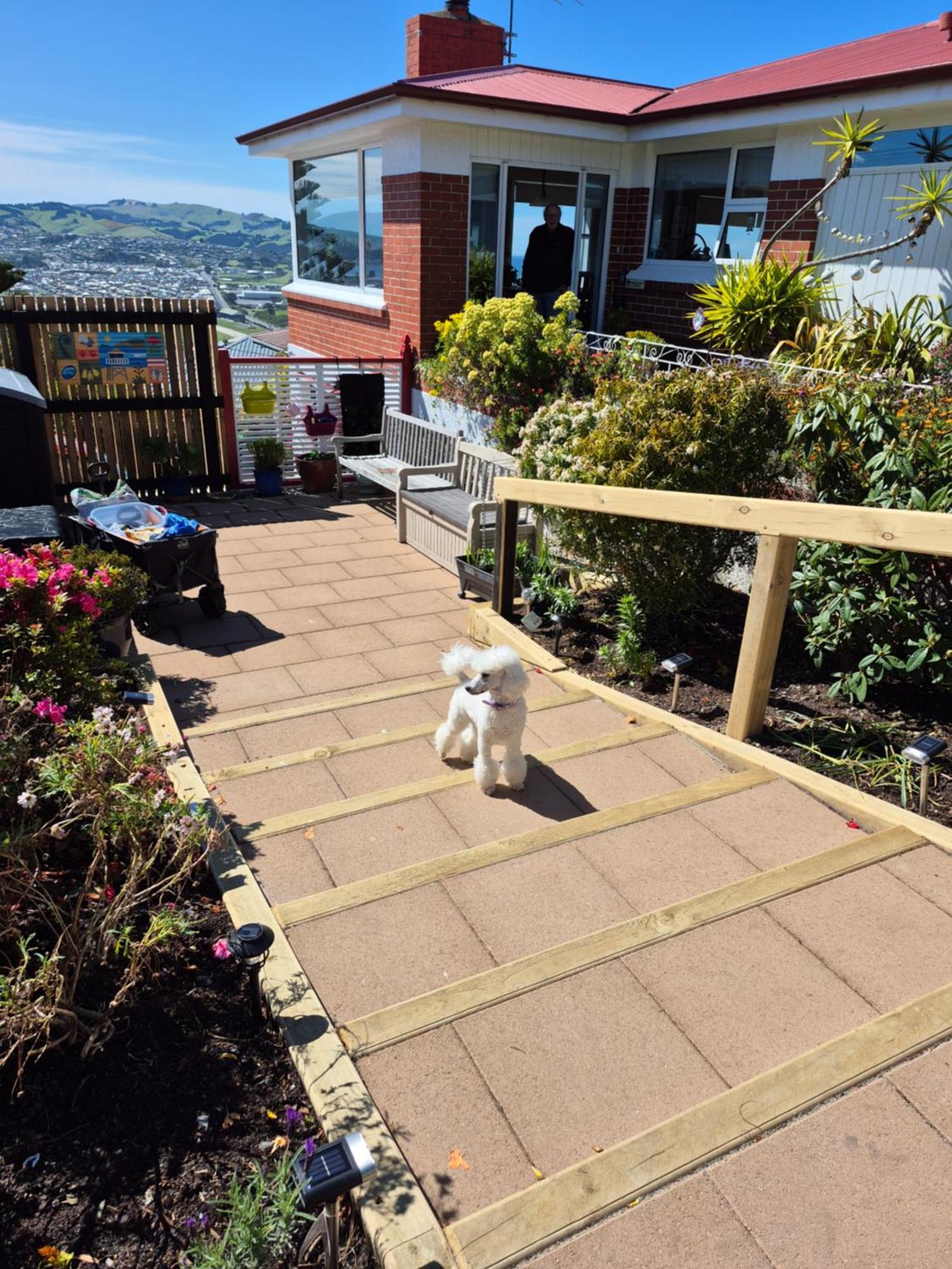 Rosemount B&B By The Sea St Clair Dunedin Exterior foto
