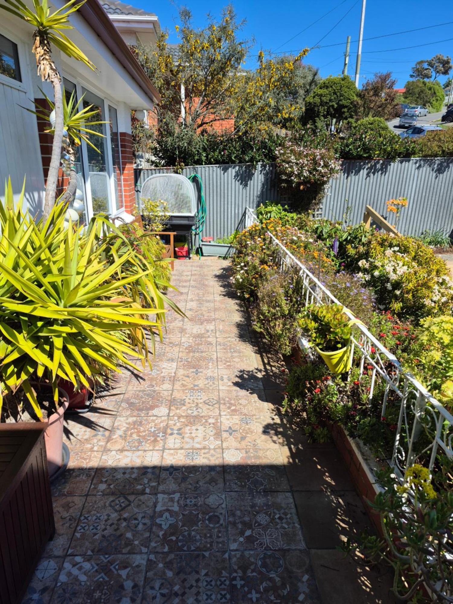 Rosemount B&B By The Sea St Clair Dunedin Exterior foto